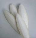 Wholesale header bags: CuttleBone (Cuttlefish Bone, Cuttle Bone, Sepia) Wholesale header bags: CuttleBone (Cuttlefish Bone, Cuttle Bone, Sepia)