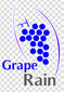 Shenzhen Graperain Technology Co., Ltd  Company Logo