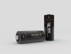 Wholesale gas alarm: Li-MNO2 Primary Battery
