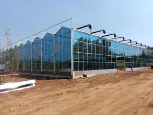 Wholesale wind curtain: Multispan Greenhouse