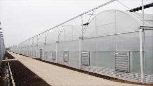 Wholesale ventilator cover glass: China Tomato Film Greenhouse and Green House for Vegetable Growing