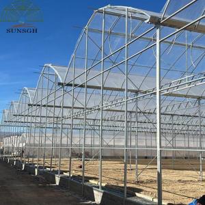 Wholesale roof gutter system: Cambodia Customer Agricultural Greenhouses for Sale