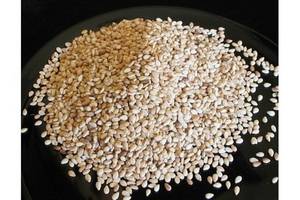 Wholesale Oil Seeds: Sesame Seed