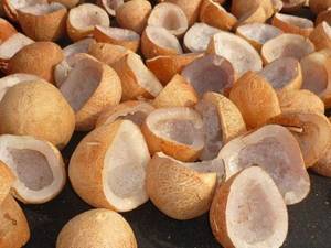 Wholesale coconut fibre: Cup and Ball Coconut Copra Premium Quality