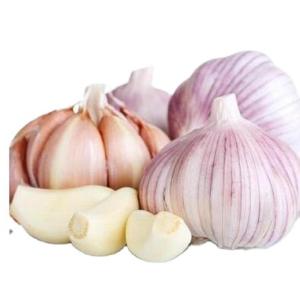 Wholesale bulk bag: Best Quality Organic Fresh Garlics (Red and Pure White)