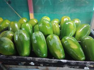Wholesale d: Papaya