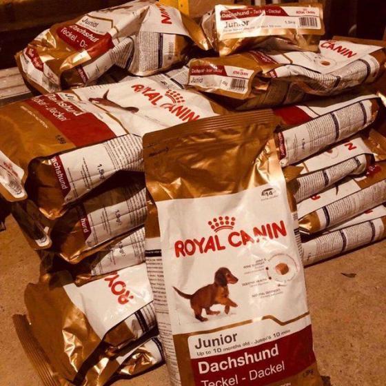 canin royal junior