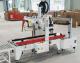 Sell LINED CARTON PACKING MACHINE