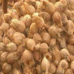 Wholesale Coconuts: Sell Offer of Coconuts