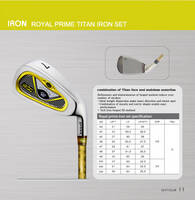 Sell Gvtour Iron Set - Royal Prime