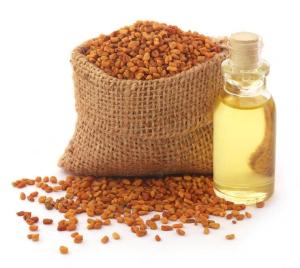 Wholesale aroma herb: Fenugreek Oil