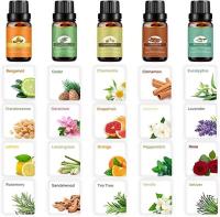 Sell olive essential oil,rose hip oil,wheat germ oil,Chamomile oil