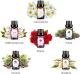 Sell spa Massage, body beautification oil,tea essential oil,rose oil