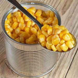 Wholesale Foot corn: Canned Sweet Corn Best Price