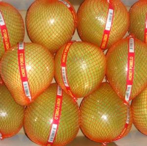 Wholesale green pomelo: AA Quality Honey Pomelo with Competitive Price