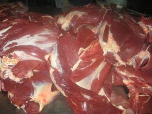 Wholesale trims: Quality Frozen Boneless Buffalo/Beef Meat