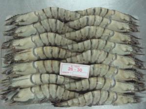 Wholesale Fish & Seafood: White Wild Shrimp Black Tiger Shrimps