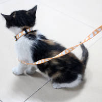 Custom Made Polyester Cat Collar