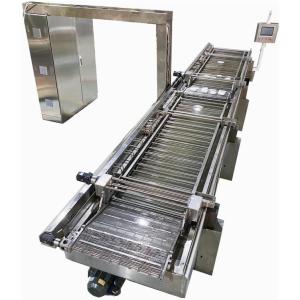 Wholesale Food Processing Machinery: Fryer