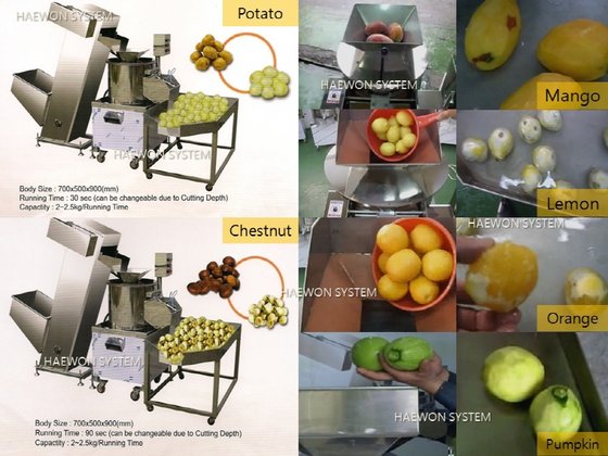 auto fruit peeler