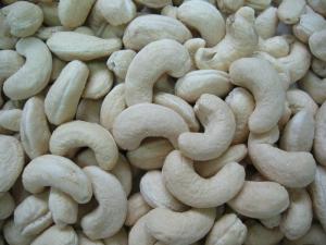 Wholesale raw white: Cashew Nut