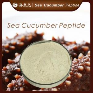 Wholesale dried food: Factory Supply High QualitySeaCucumberPolypeptide/Best Price Top Quality Seacucumber Polypeptide