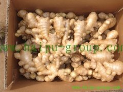 Air Dried Yellow Fat Ginger
