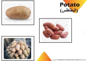 Wholesale Fresh Potatoes: Potatoes, Fresh Potatoes