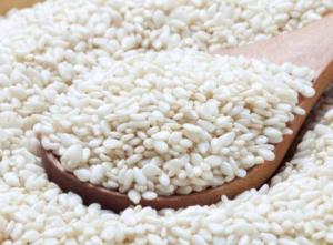 Wholesale Oil Seeds: Sesame  Seed