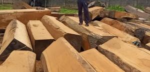 Wholesale s: Hardwood Square Log S