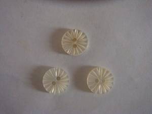 Wholesale rivershell: Shell Button