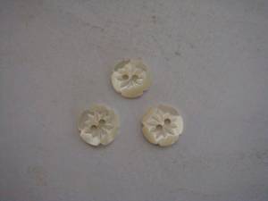 Wholesale rivershell: Shell Button