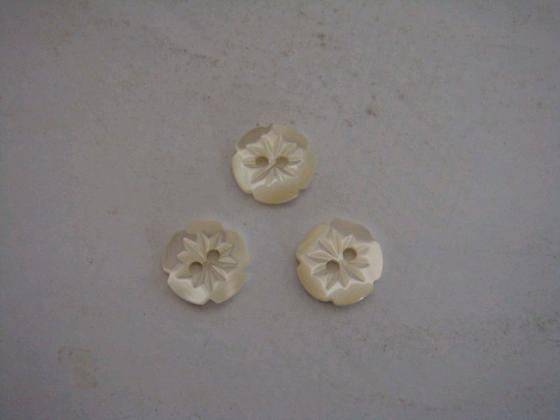 Shell Button