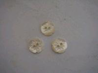 Shell Button