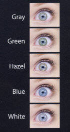 Wholesale contact lenses: Contact Lens
