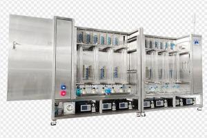 Wholesale intensifier: Continuous Chromatographic System