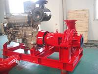 Fire Pump for Fire Fighting System 