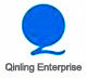 Qinlong Enterprises Company Logo