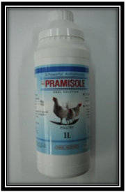Wholesale levamisole: HP-PRAMIZOLE  Sol.