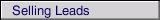 Selling Leads