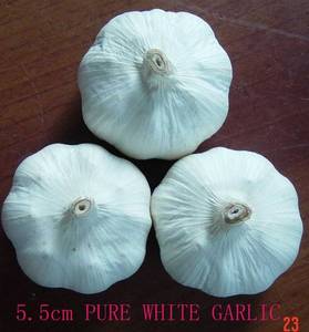 Wholesale pure white: Pure White Garlic