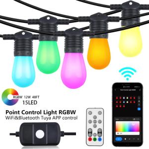 Wholesale holiday lights: Newest 48FT 15 Bulbs Party Holiday String Lights Point Control Tuya WiFi&BLE Smart Rgbw String Light