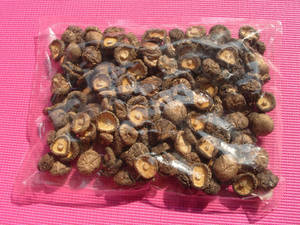 Wholesale frozen seaweed: Dried Mushrooms Whole/Slice/Flake/Powder