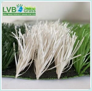 Wholesale Other Sports & Entertainment Products: High Quality Artificial Grass for Sports Grass Stadium Gym