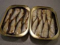 Canned Sardine in Vegetable Oil, Canned Tuna, Canned Fish