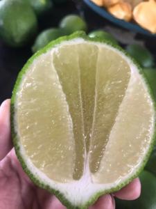 Wholesale Fruit: Lime