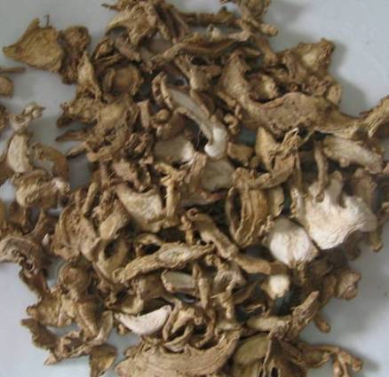 Fresh Ginger From Indonesia, We Sell Fresh and Dried Ginger
