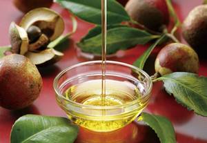 Wholesale skin care: Camellia Oil