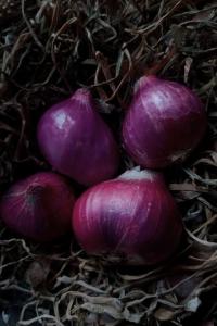 Wholesale super a: Red Onion Bima Super Phillip Grade A
