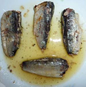 Wholesale vegetable oil: Canned Sardine,Canned Mackerel,Canned Tuna,Canned Squid,Canned Octopus,Canned